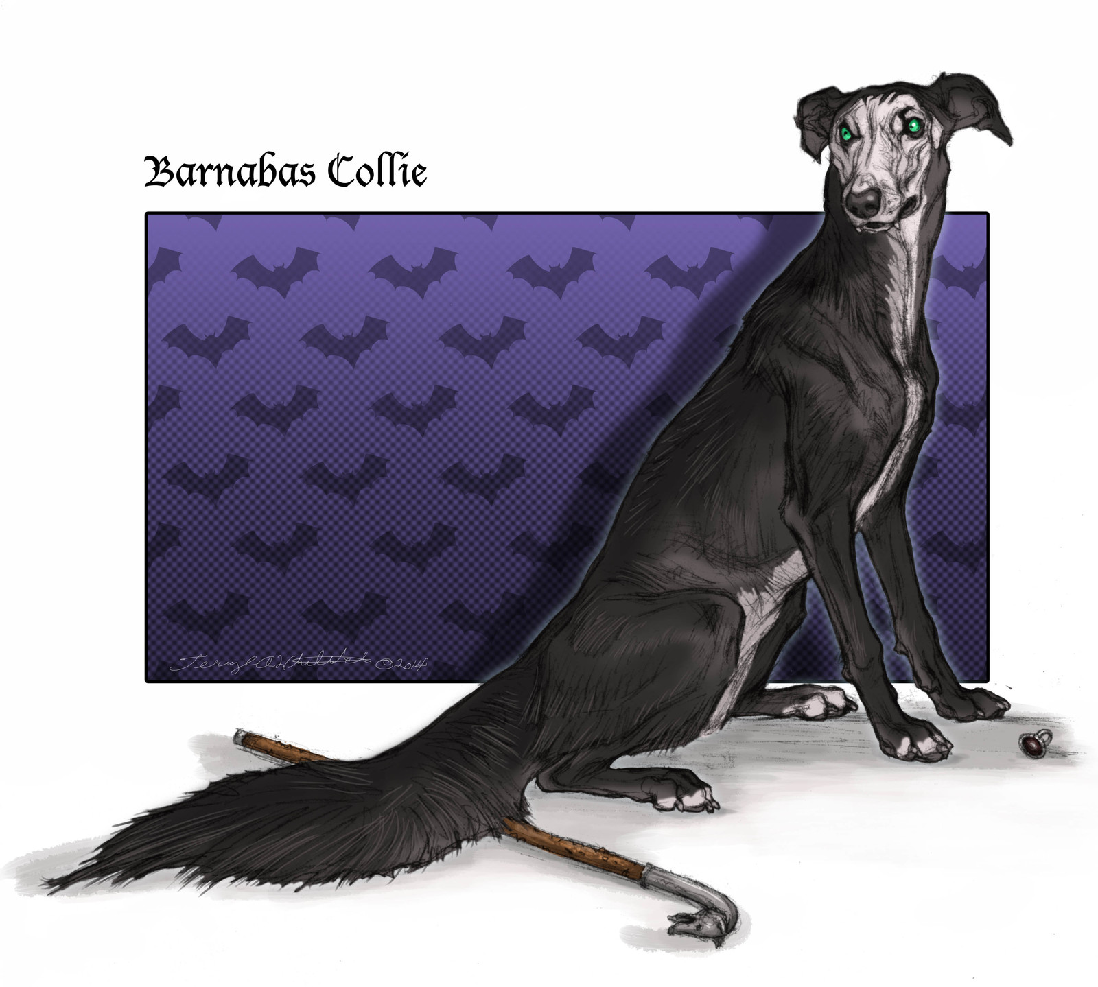 Barnabas Collie