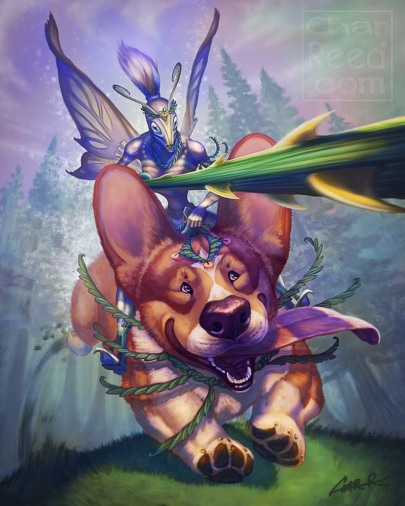 Fairysteed corgis 2025