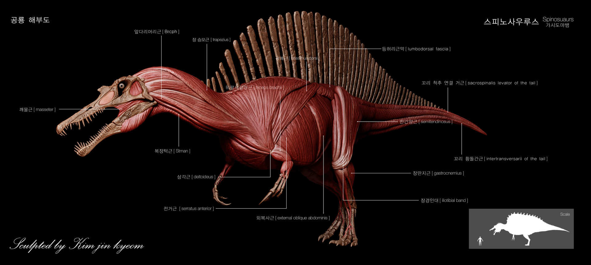 ArtStation - Dinosaurs anatomica chart , Vitamin Imagination