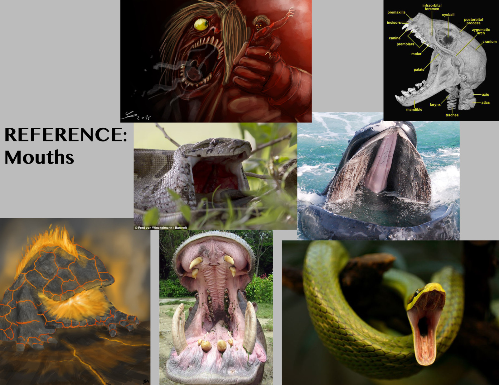 All reference images property of their original creators.