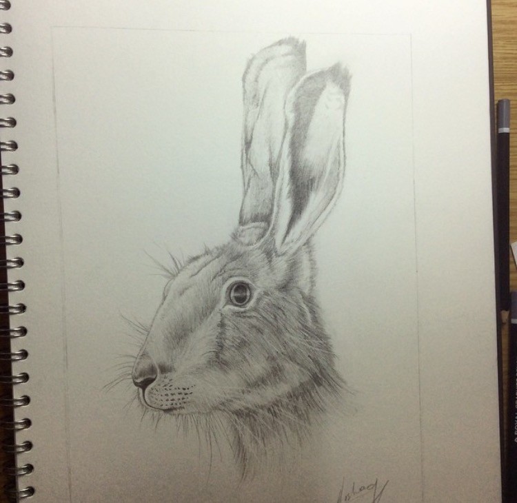 ArtStation - Hare