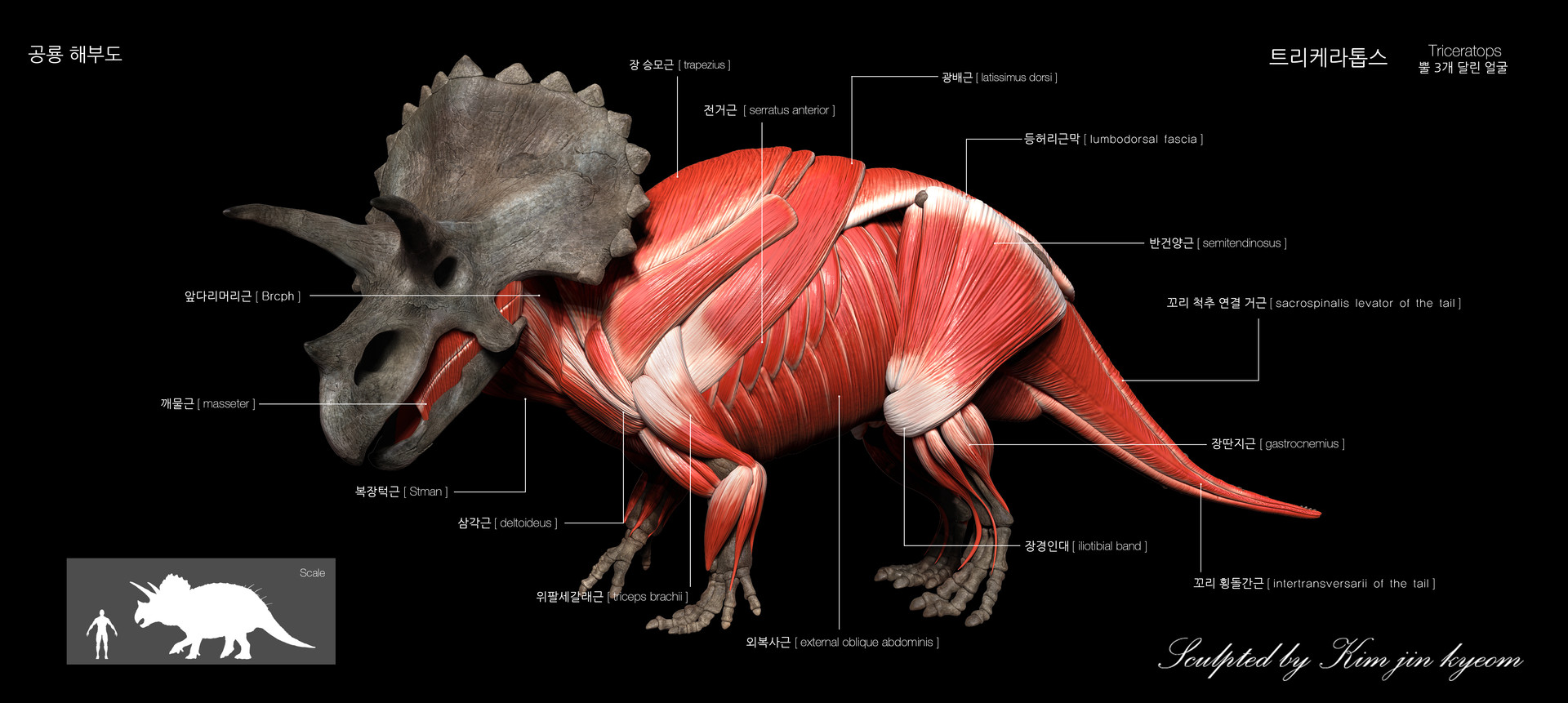 ArtStation - Triceratops anatomical chart, Vitamin Imagination