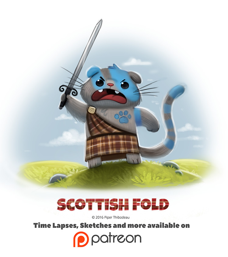 ArtStation - Scottish Fold