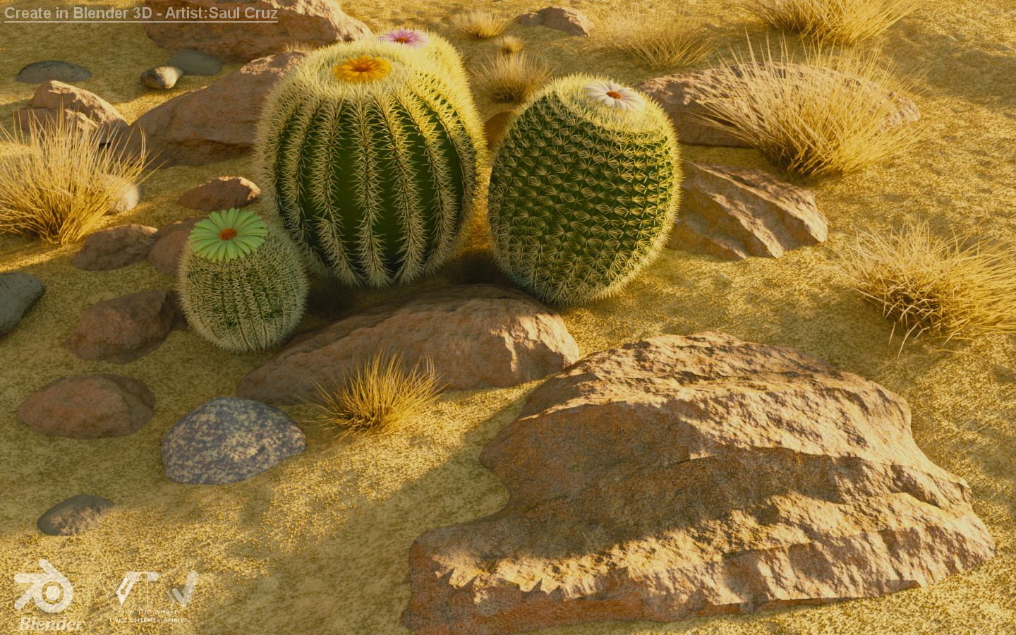 Saul Cruz Cactus Family