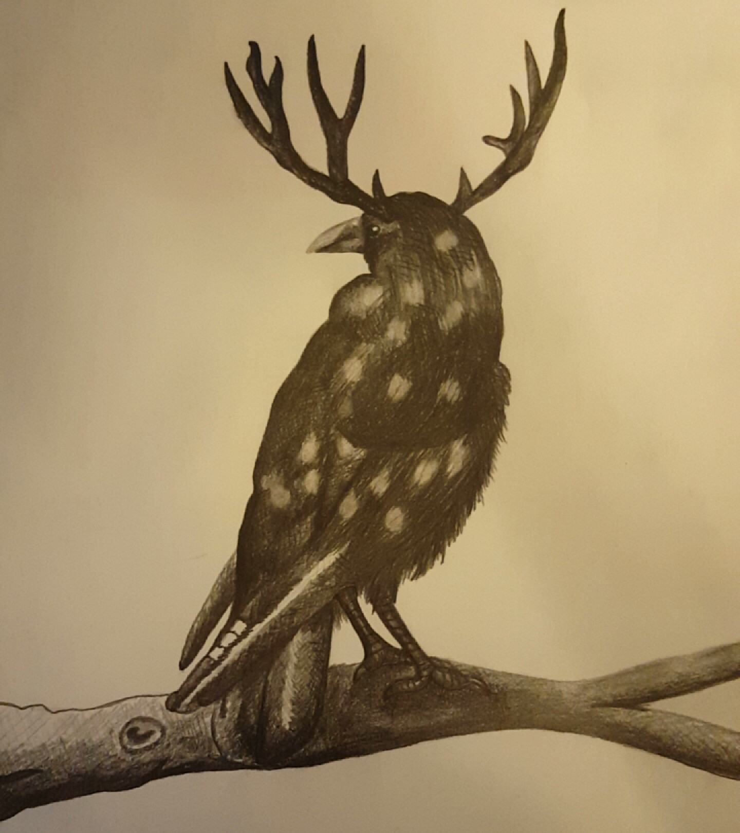 Artstation Crow With Antlers Johnathon Hickey