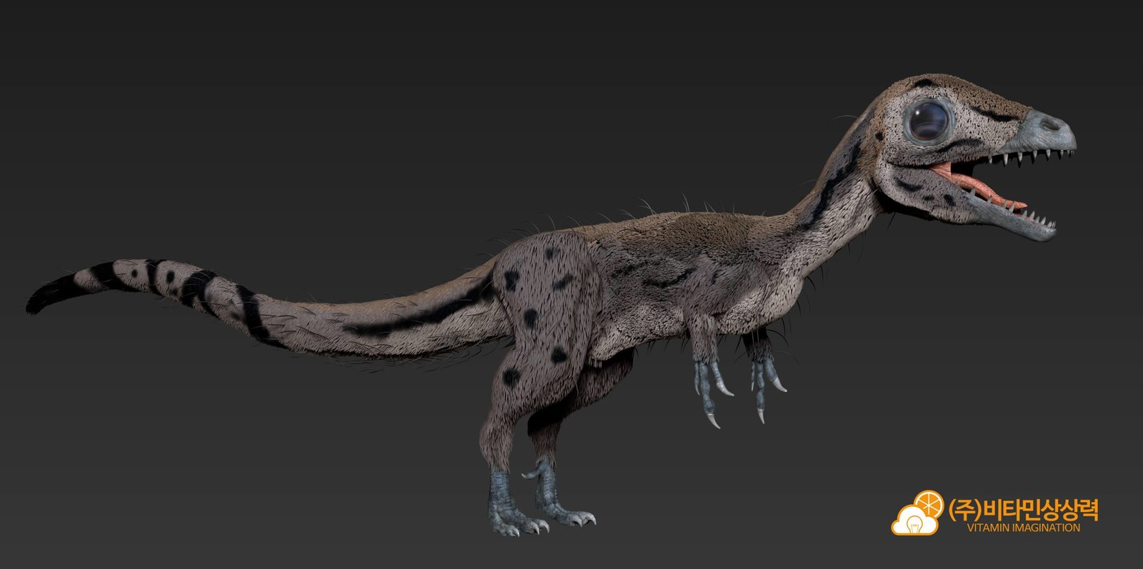 Sciurumimus