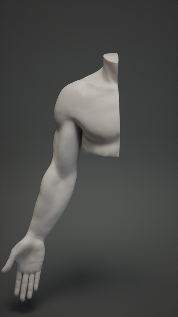 stororokw _ Arm Study