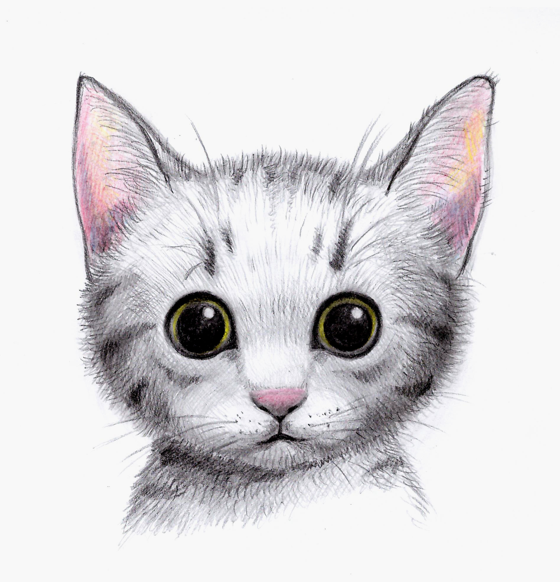Картинка Котенка Срисовать