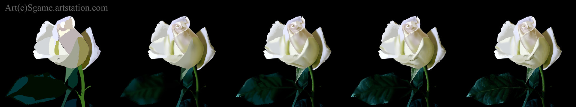 steeve-medas-white-rose-wip.jpg?14765688