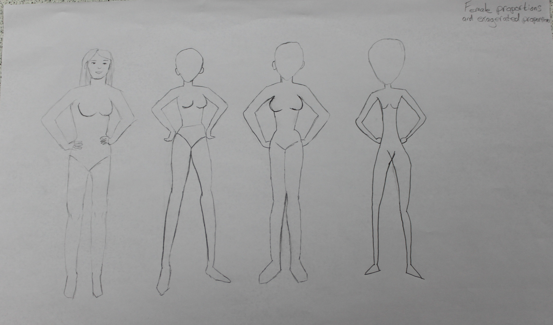Sean Dempsey Body Proportions