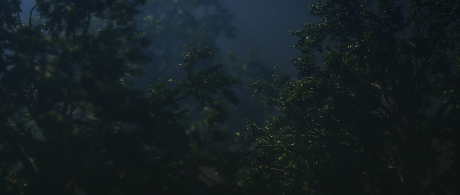 Joris van den Berg - Atmospheric Forrest