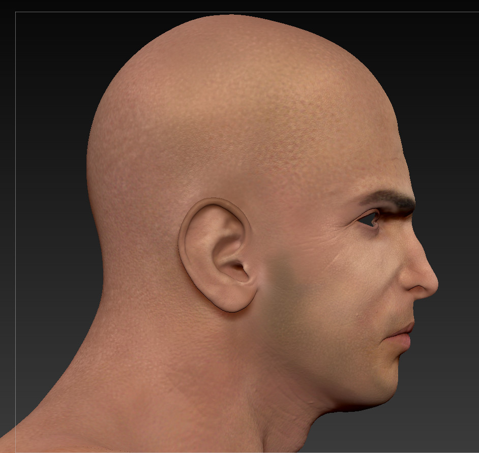Poly Paint - Zbrush