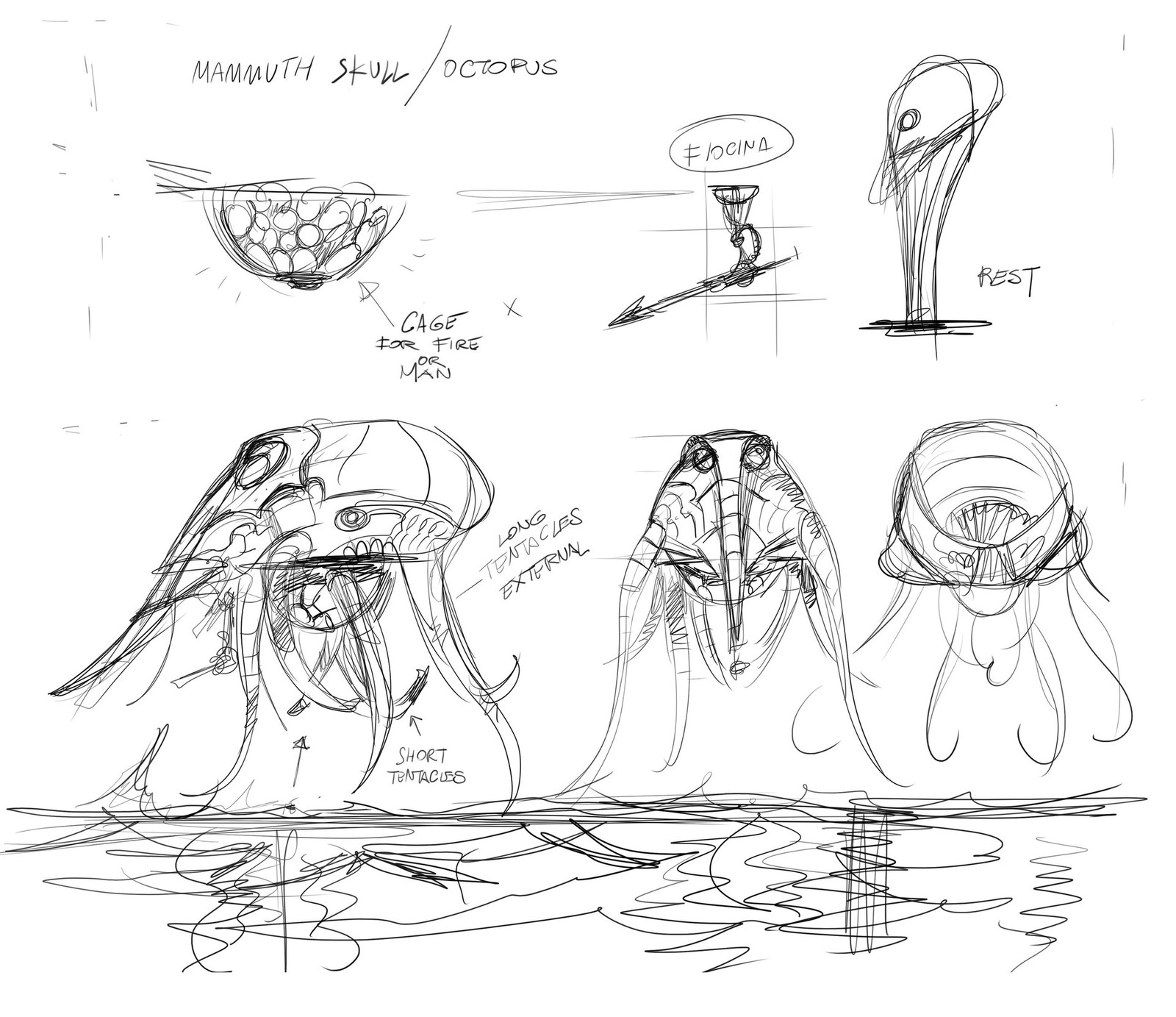 First Sketches