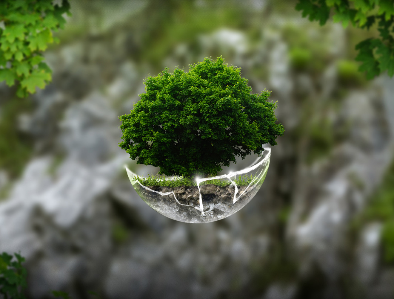 ArtStation - Tree Sphere