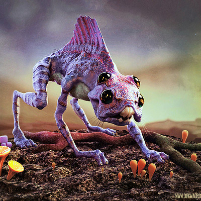 Dirk wachsmuth air jackrabbit