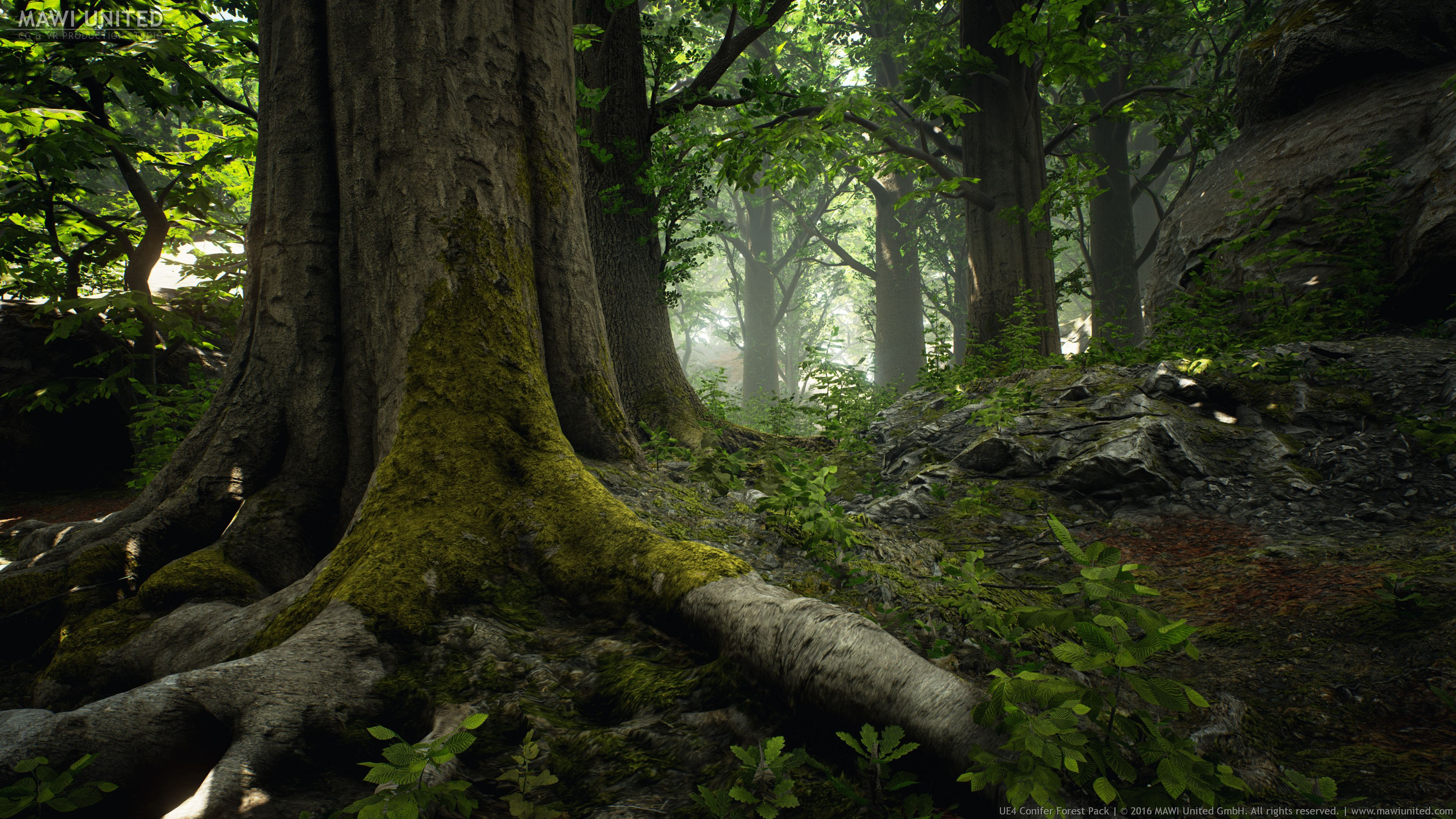 C unreal 5. Ue4 Forest. Лес Unreal engine 5. Unreal engine 5.2. Unreal engine 4 лес.