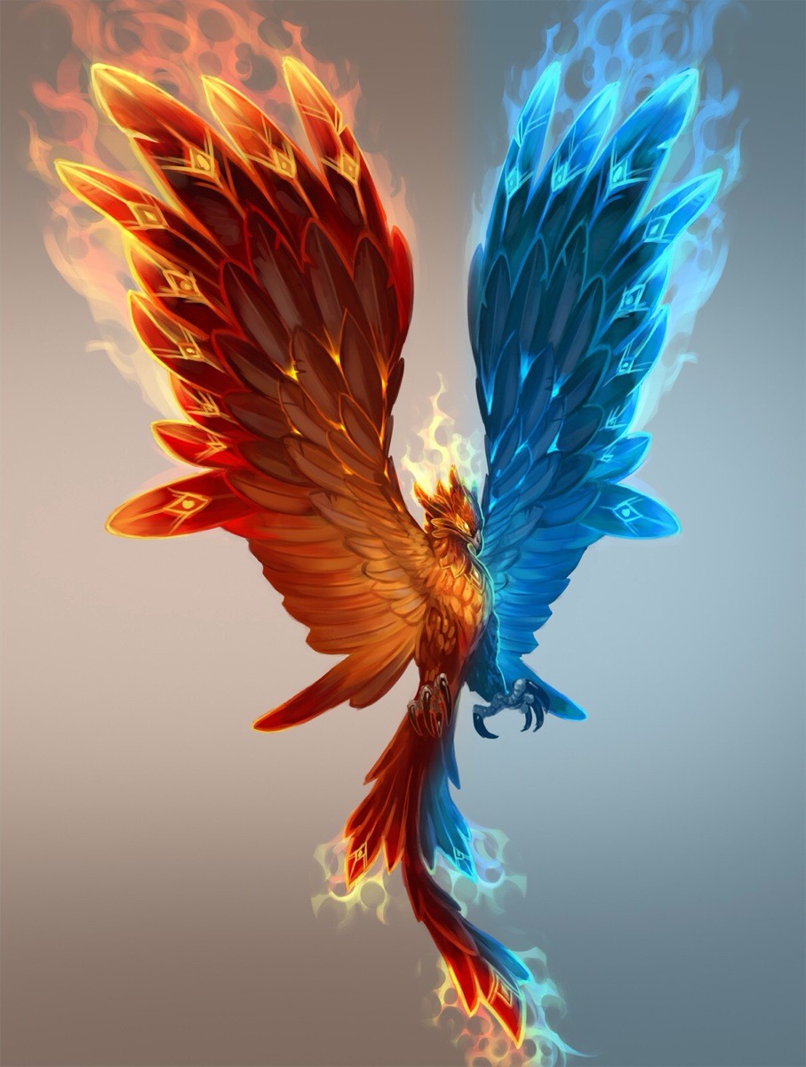 Phoenix | Phoenix tattoo design, Mythical creatures art, Mythical creatures
