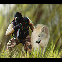 the iroeli chronicles part 3 david tomas