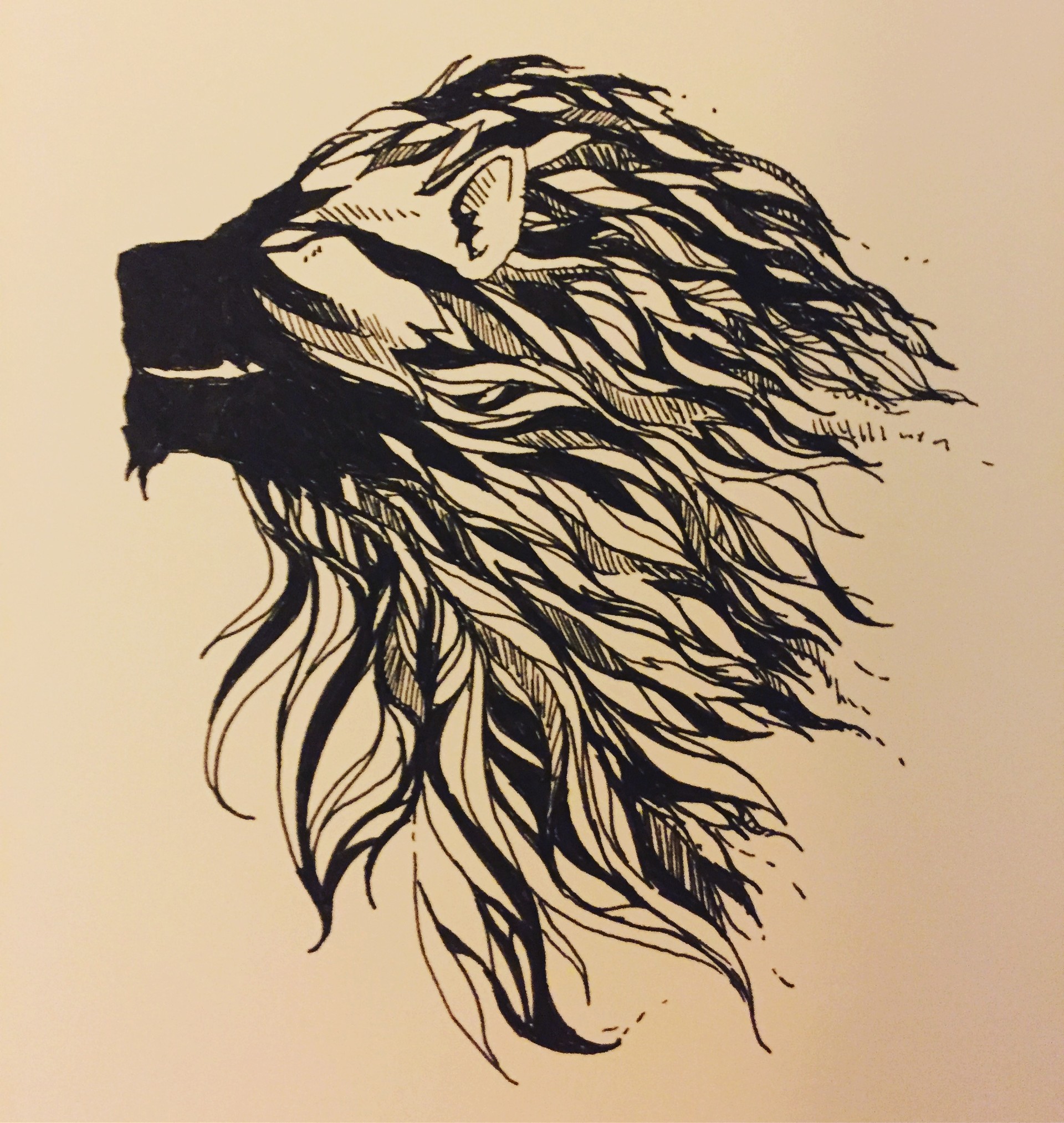 Idea Lists on Amazon | Lion sketch, Lion drawing, Lion tattoo