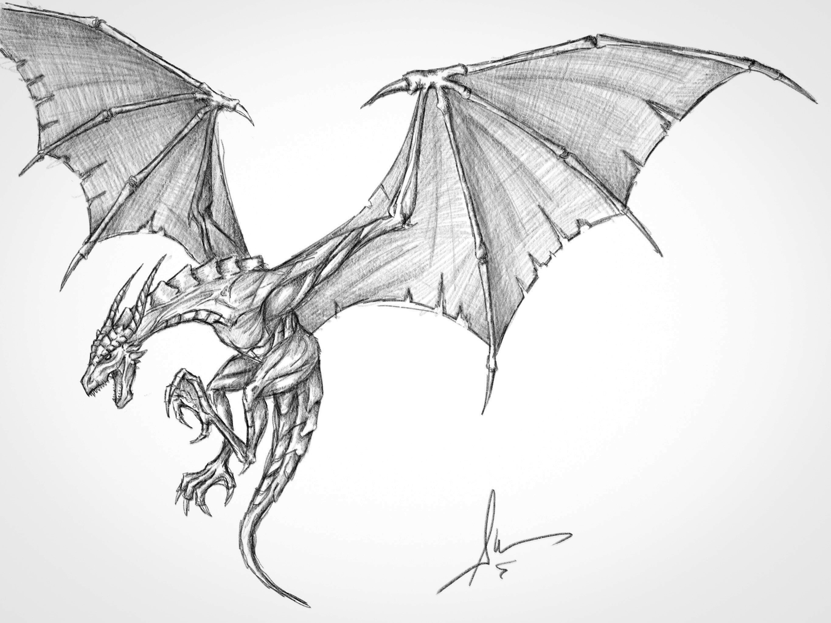 dragon sketch full body
