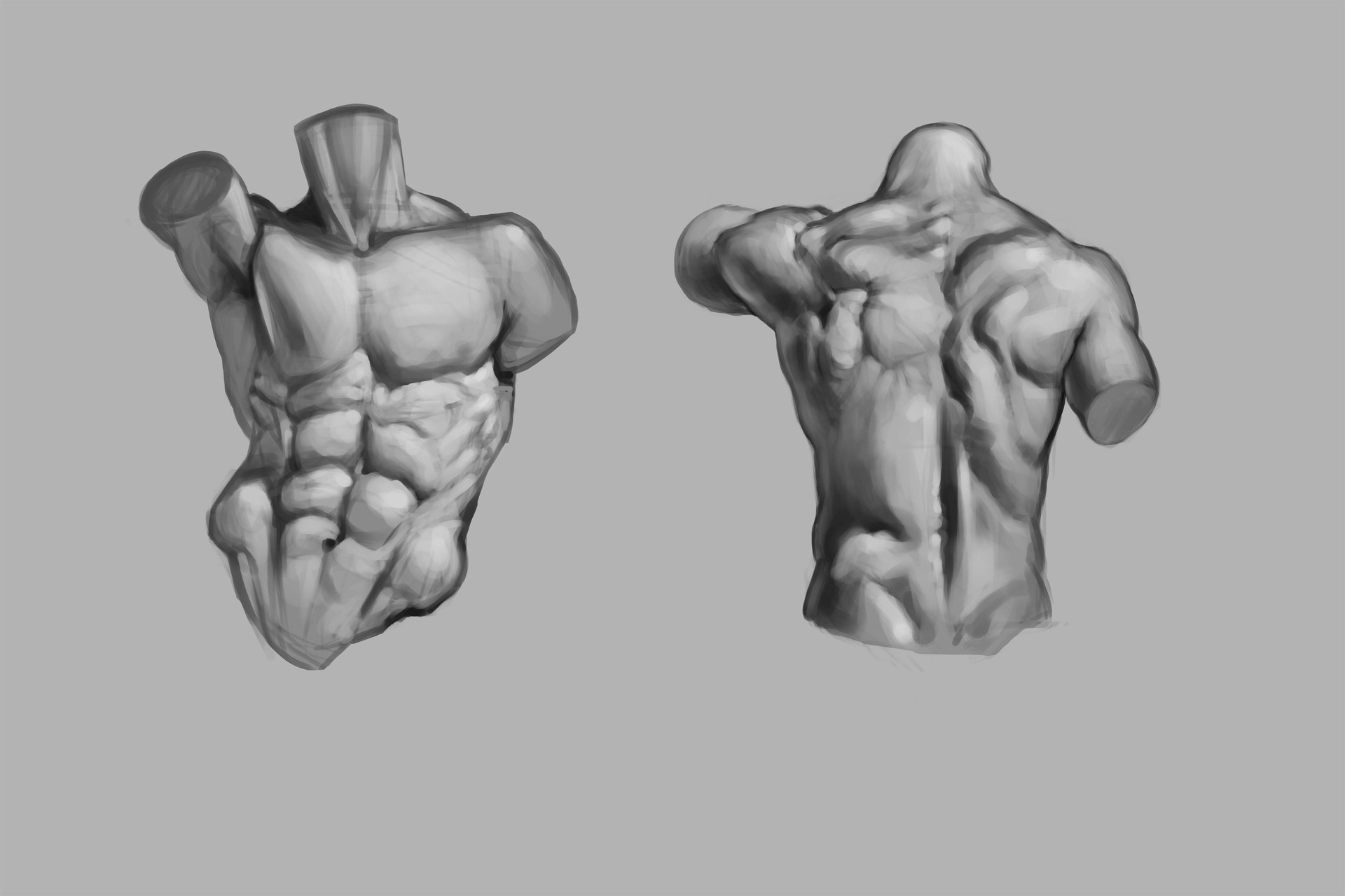 Artstation Male And Female Torso Michele Parisi Female body torsos by may12324 on deviantart. male and female torso michele parisi