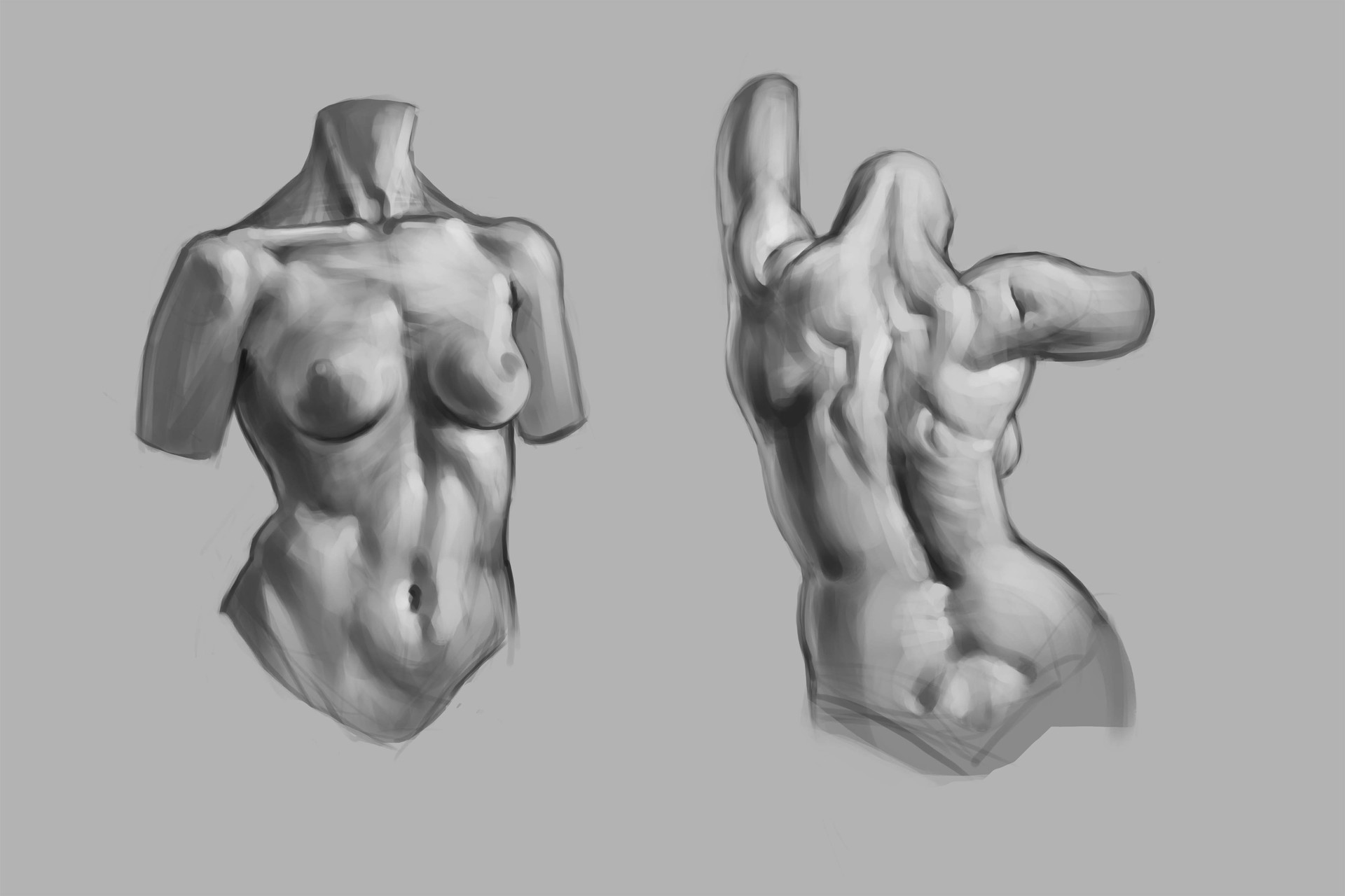Artstation Male And Female Torso Michele Parisi Viking vol.1 photo reference pack 219 jpegs. male and female torso michele parisi