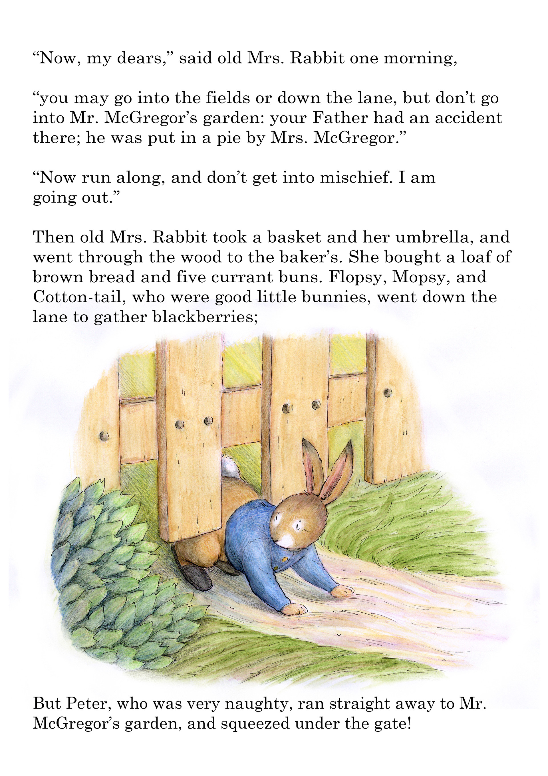 Tina Ley Burholt Peter Rabbit