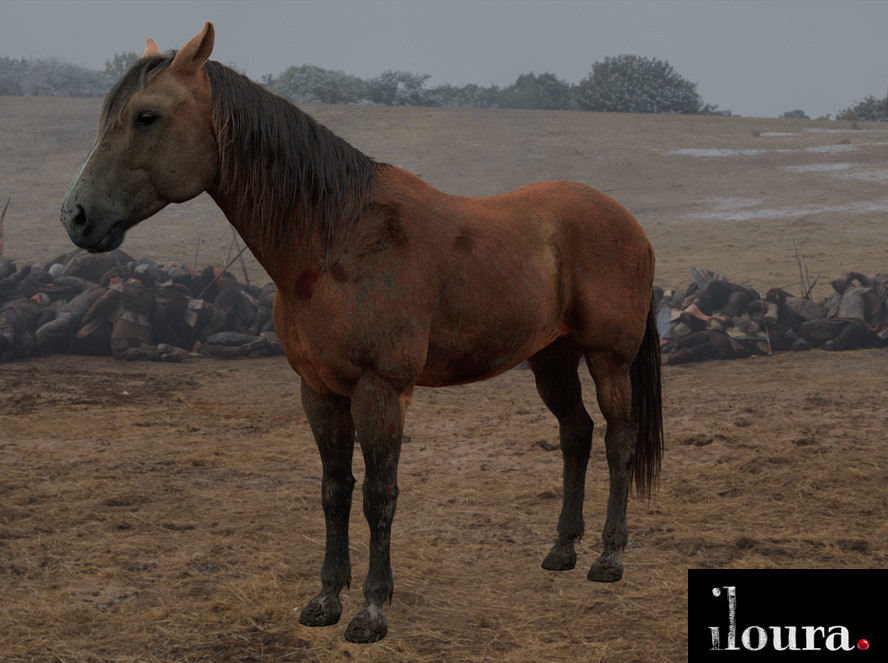 Artstation Game Of Thrones Season 6 Horse Model Samuel Jensen