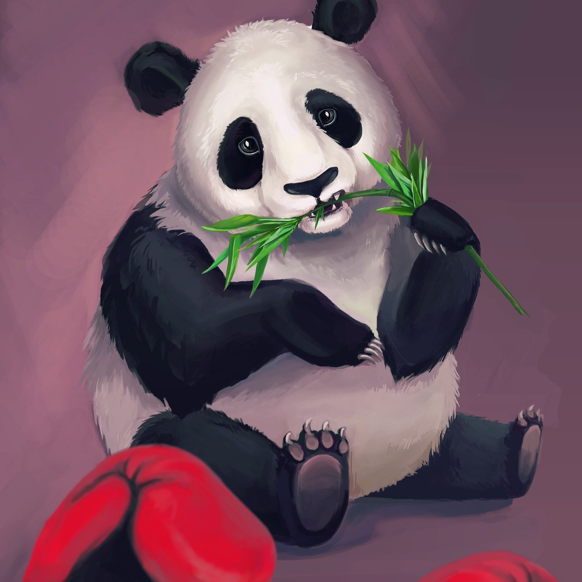 Panda comics. Панда. Крутые картинки панды. Картинки Панда красивые милые.