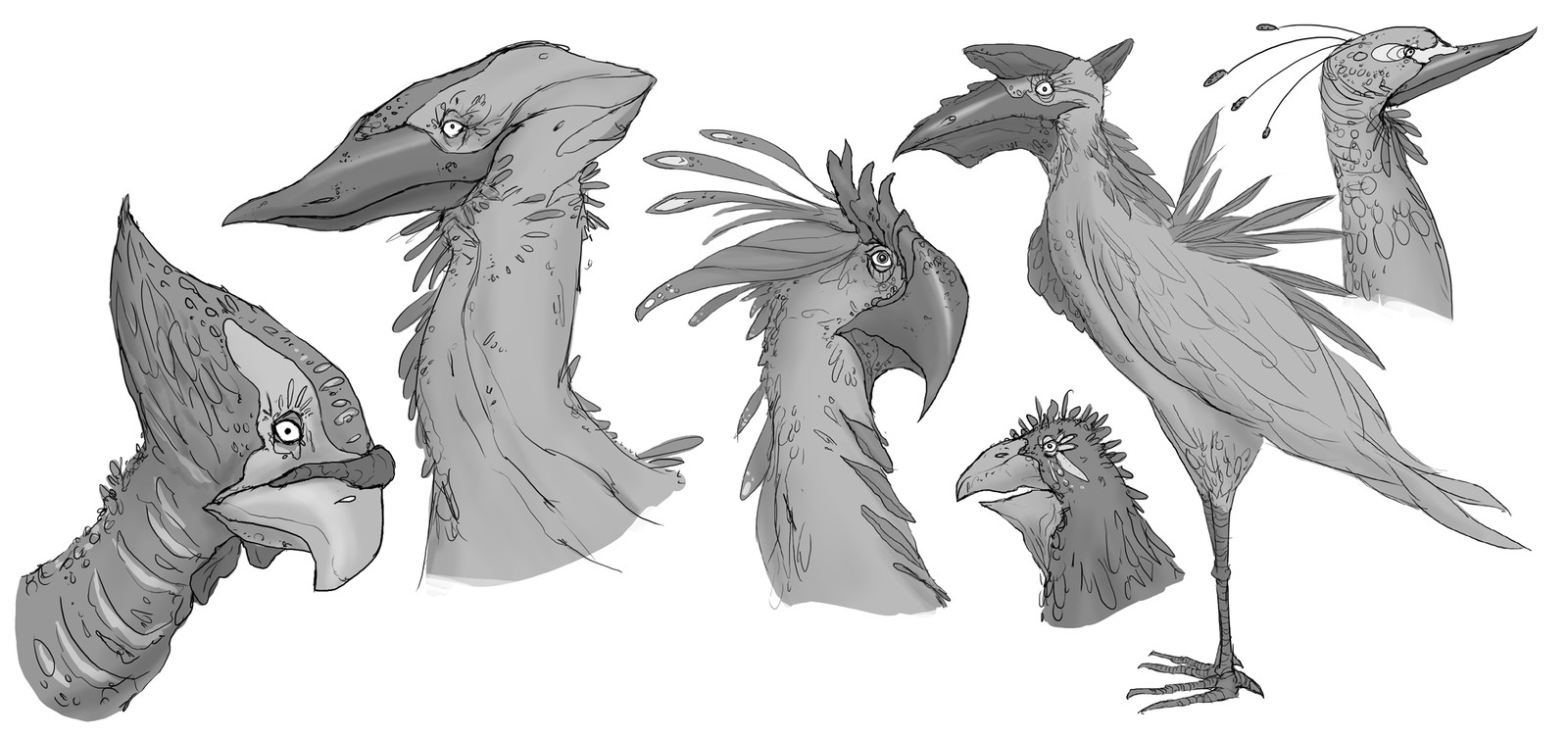 Fantasy bird concepts