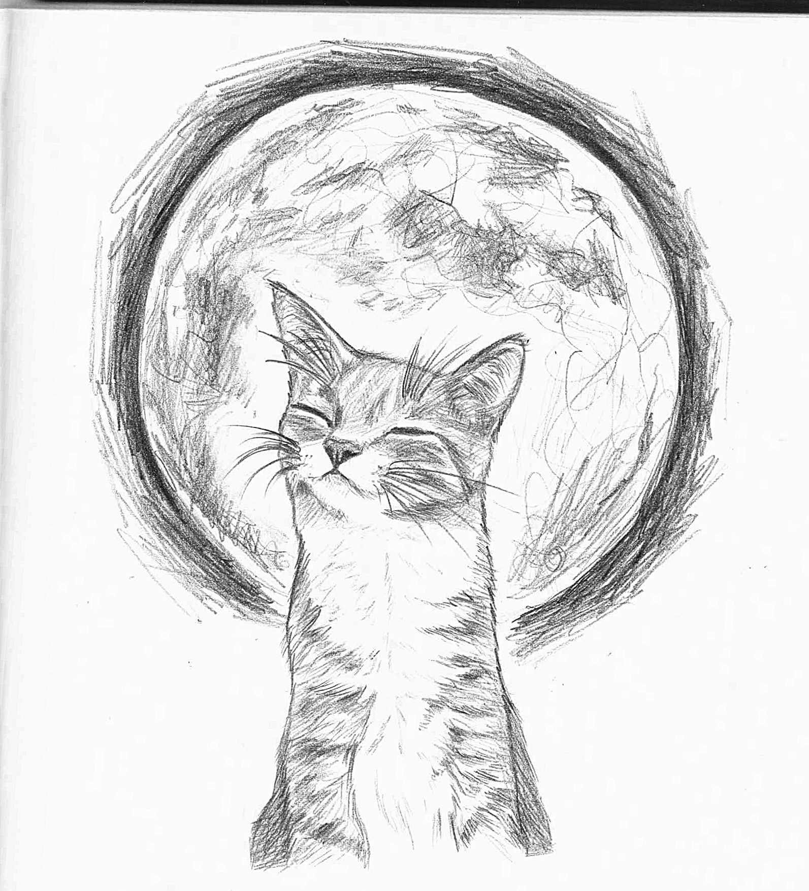 Artstation Full Moon Cat Val Koraline