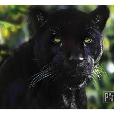 Paul butcher panther etsy