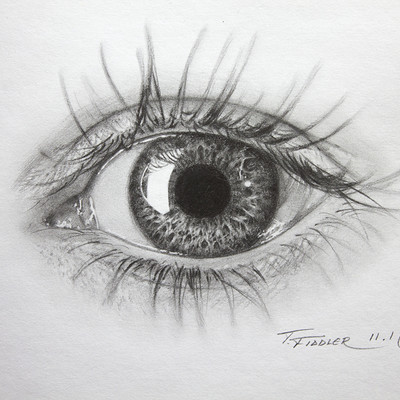 Taran fiddler eye sketch1