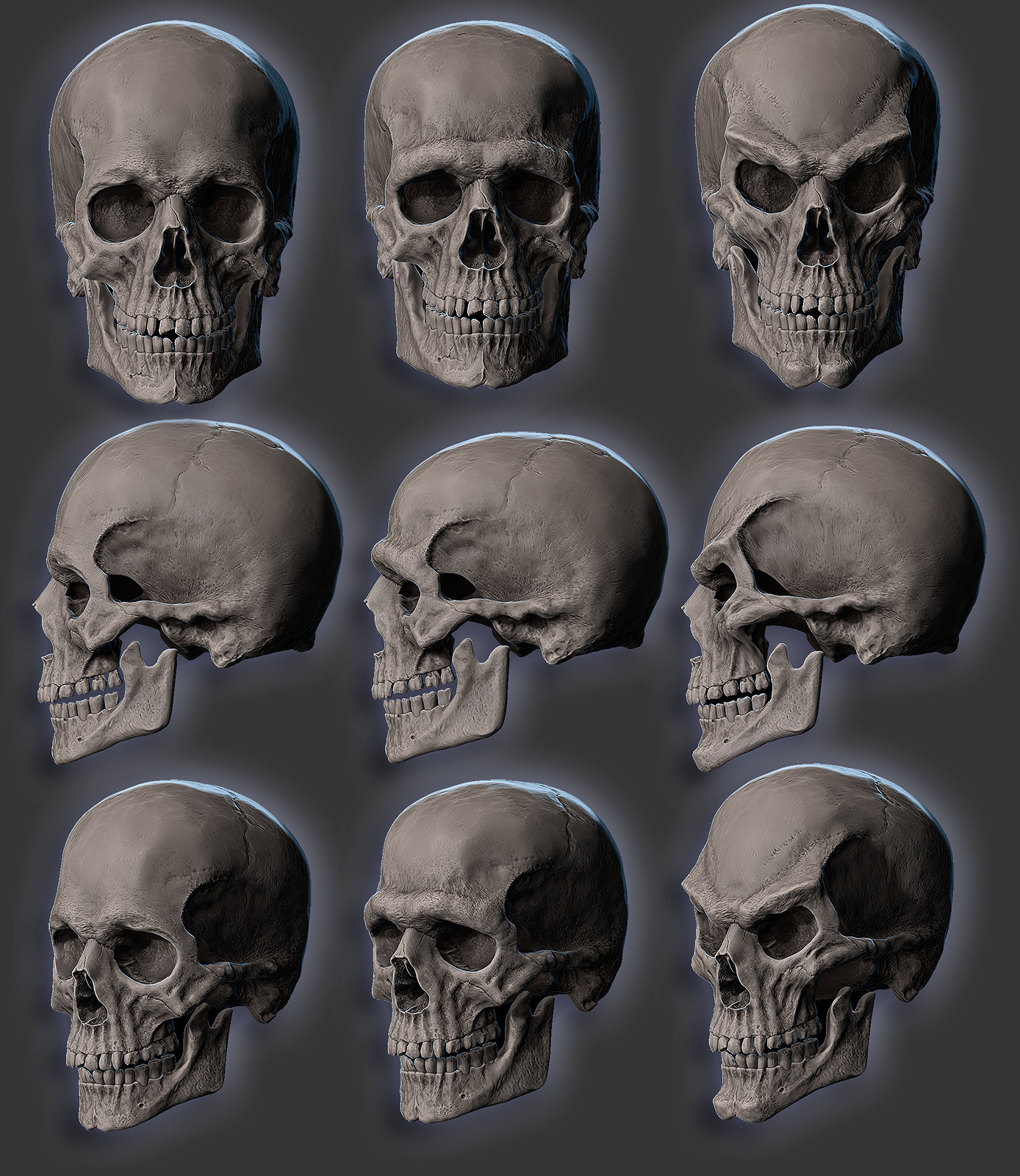 Варианты формы черепа. Форма человеческого черепа. Типы черепов человека.