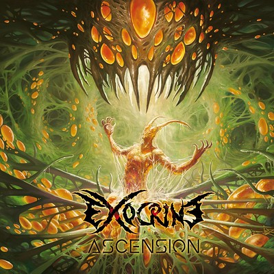 Bastien jez 15369114 10154827351049246 7306638572957245869 o