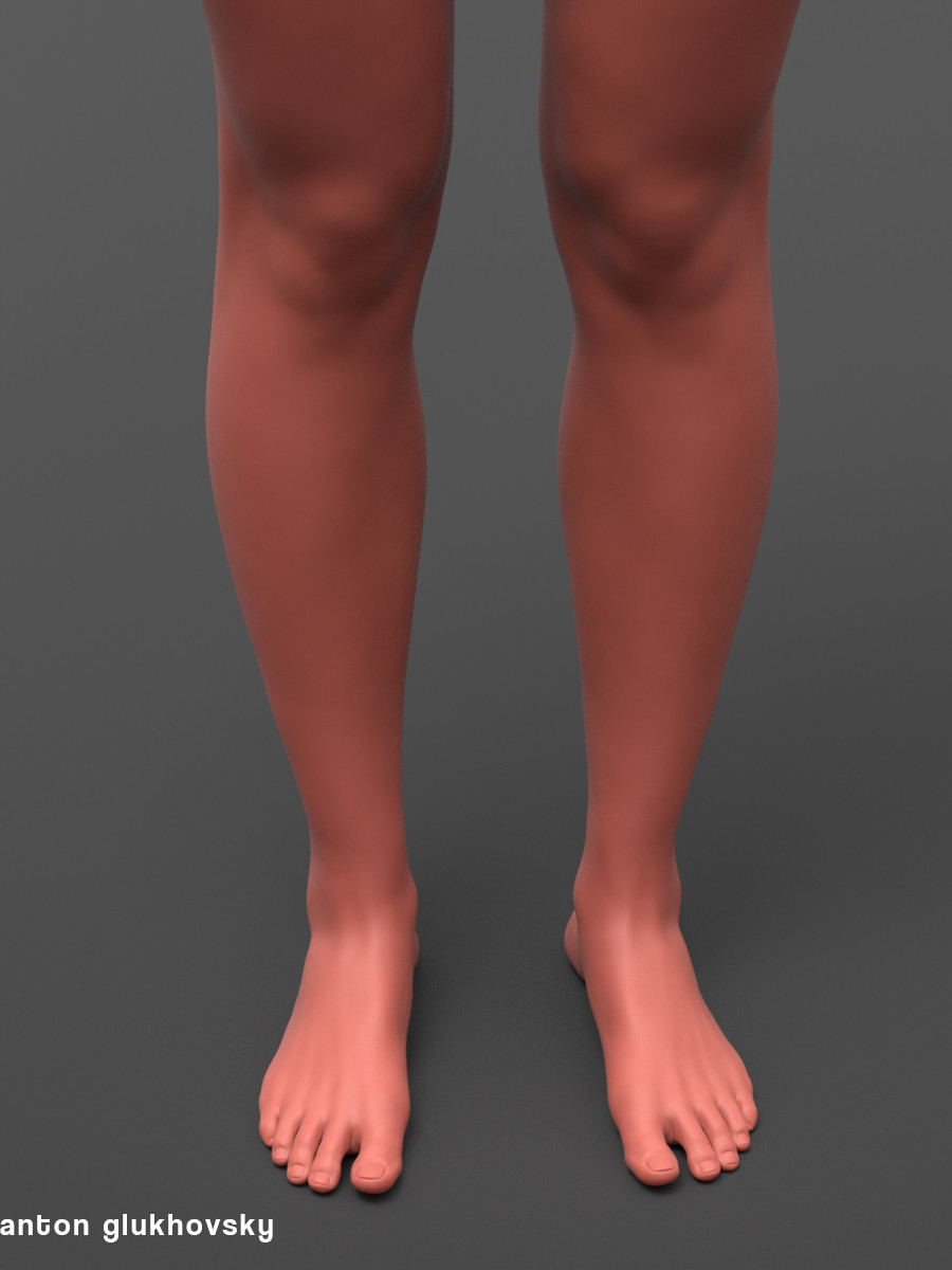 legs
