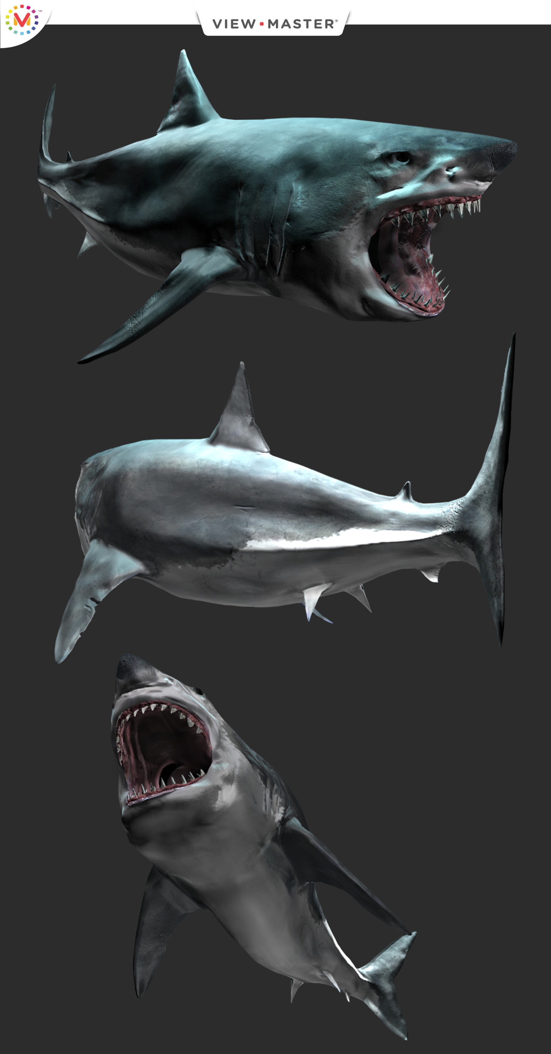 Sergio Garcia Poderoso - Shark - Discovery Underwater View-Master VR