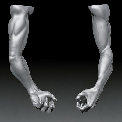 Dirk wachsmuth arm only view 01 4web