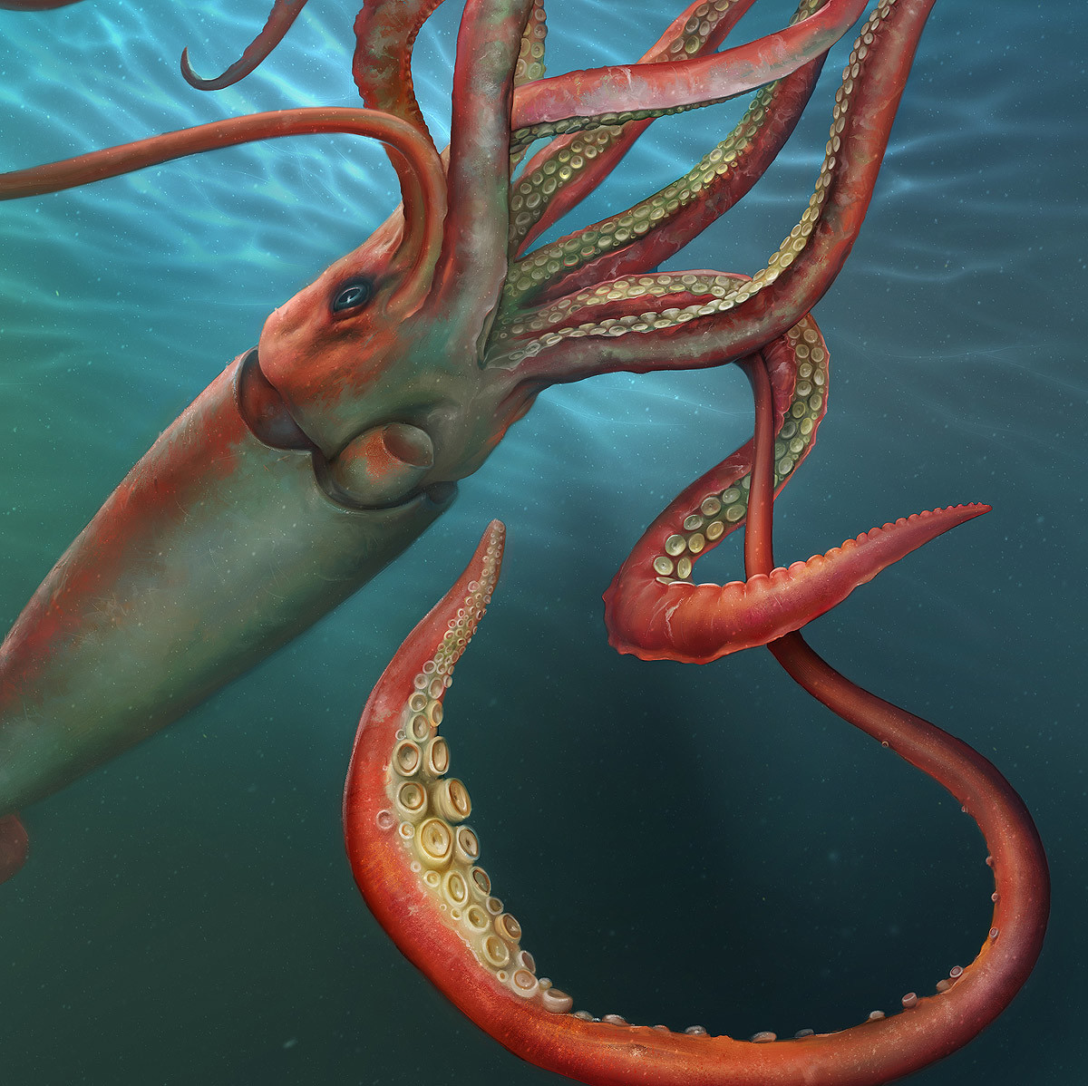 Eldar Zakirov - Giant Squid