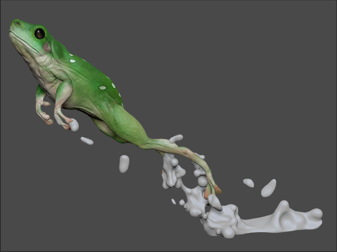 ArtStation - Leaping Frog study