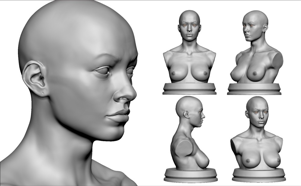 Female bust Study all views. 