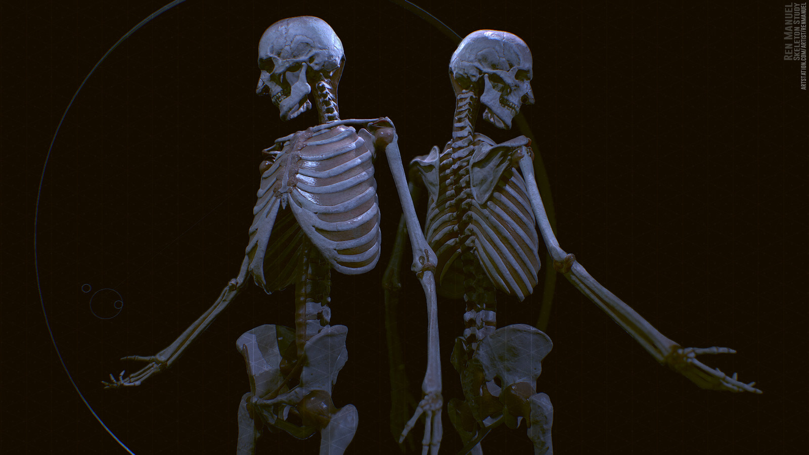 Люди скелеты живые. Скелет. Скелет человека.