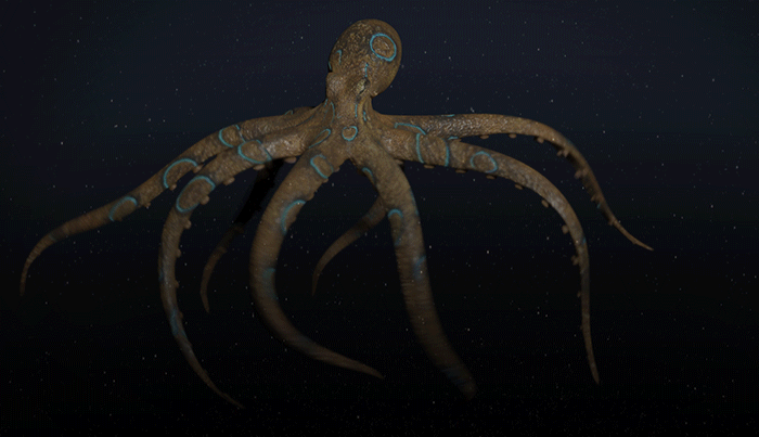 josh-purple-blueringoctopus-joshpurple.gif