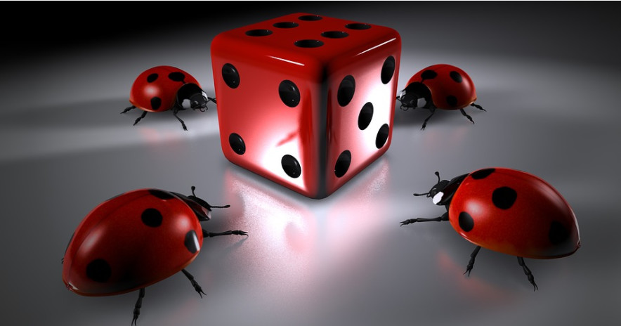Anthony Beyer's lady bugs and die