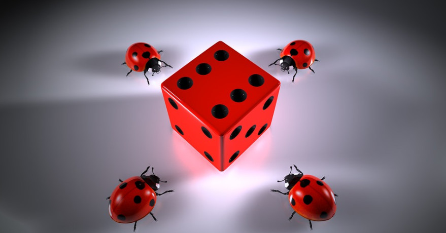 Die and lady bugs