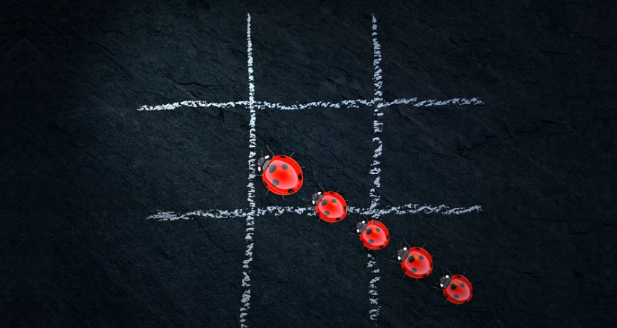 Lady bug tic tac toe