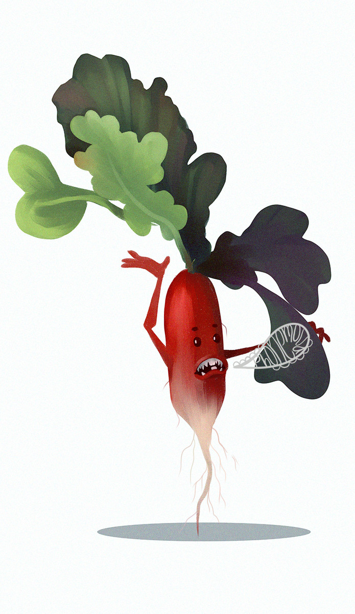 bad radish