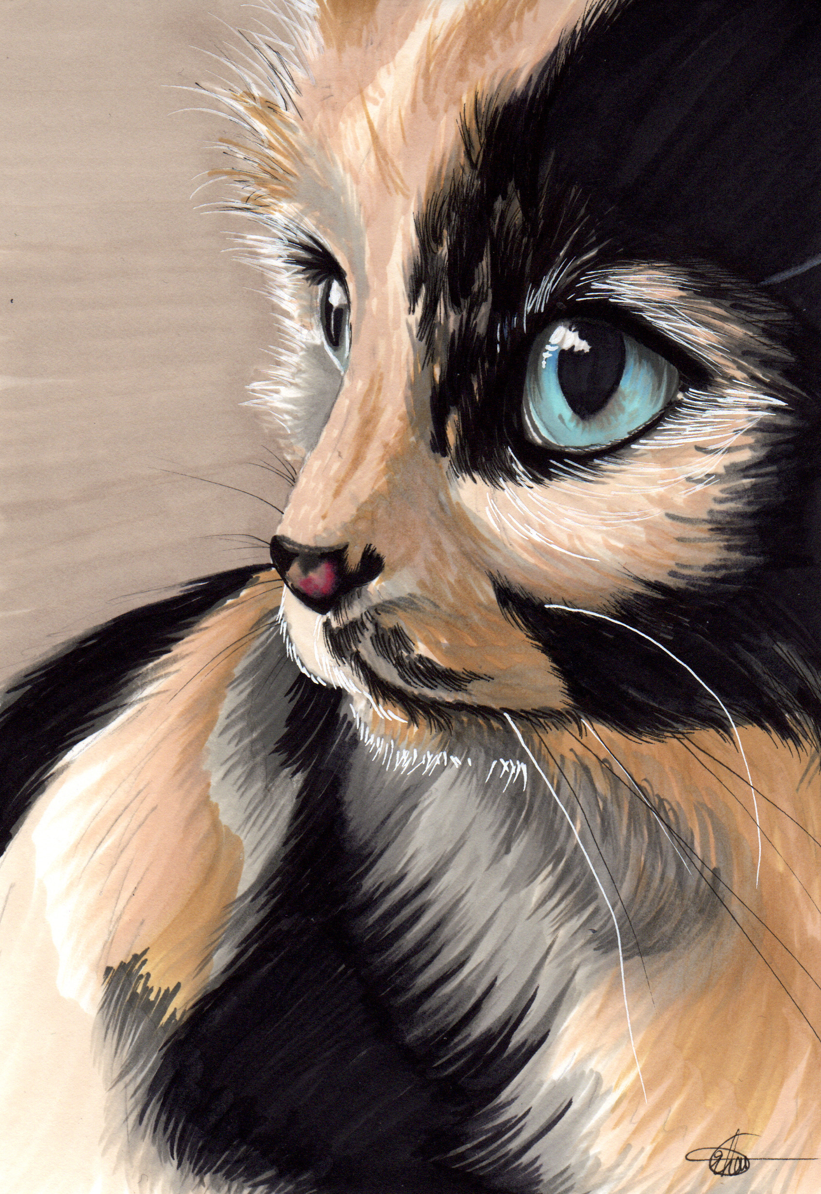 Artstation Blue Eye Cat Grheu U