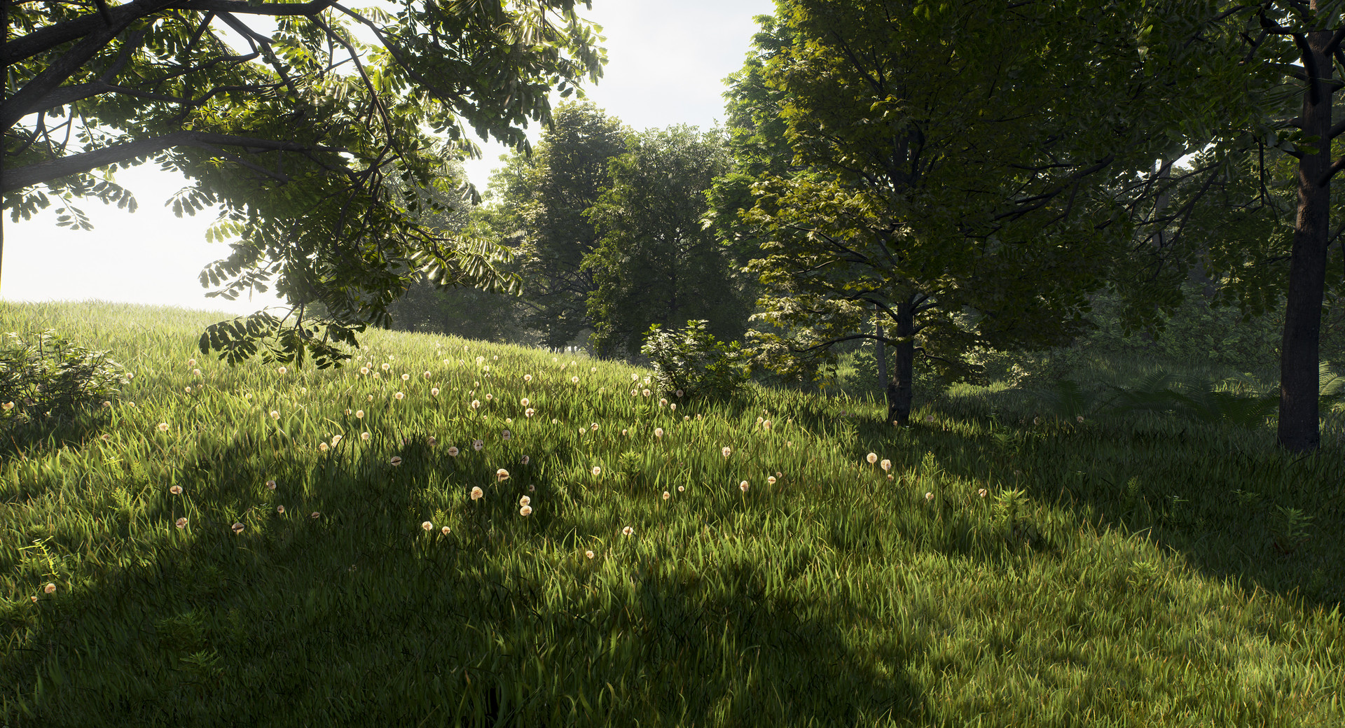 Available environment. Трава Unreal engine 4. Environment текстуры. Unreal ландшафт. Красивый лес в Юнити.