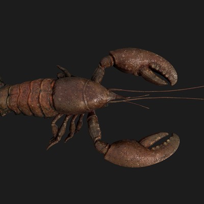 Tyler smith lobster render01
